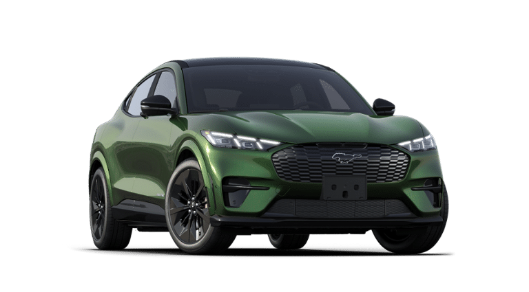 Mustang Mach-E® vehicle